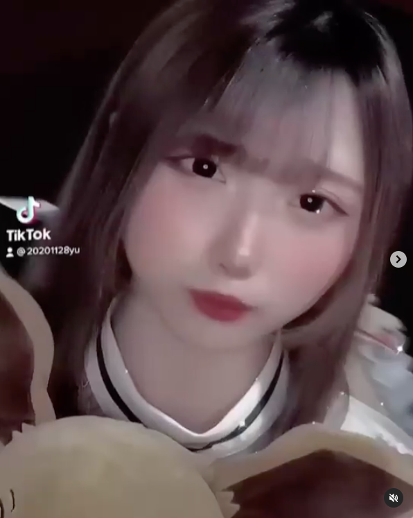 花鳥風月 ホットニュース 21610