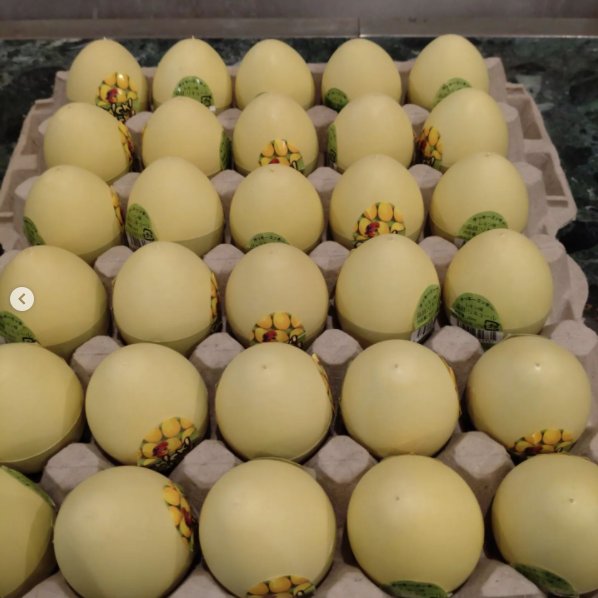 Lounge Bar Cina ホットニュース 21812