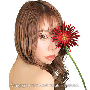 Orange Terrace ホットニュース 22326