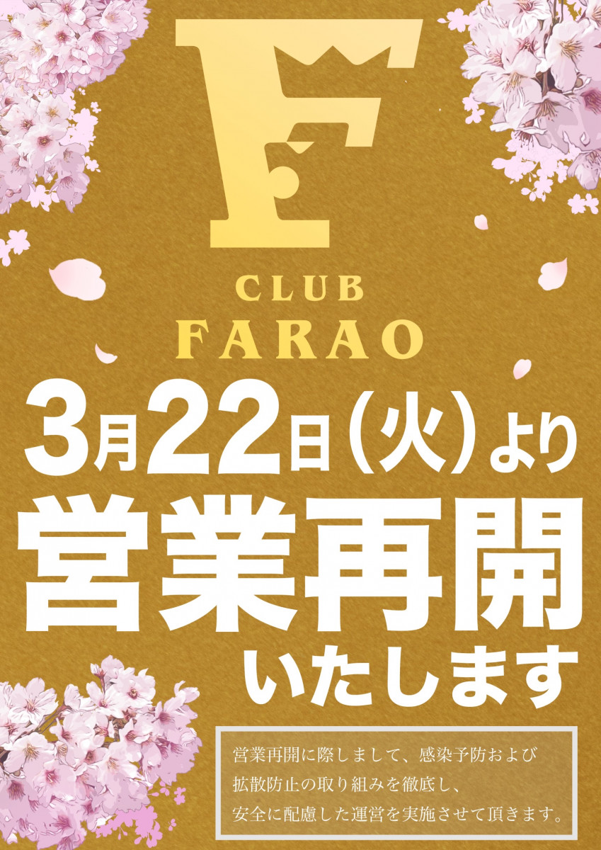Farao ホットニュース 23037