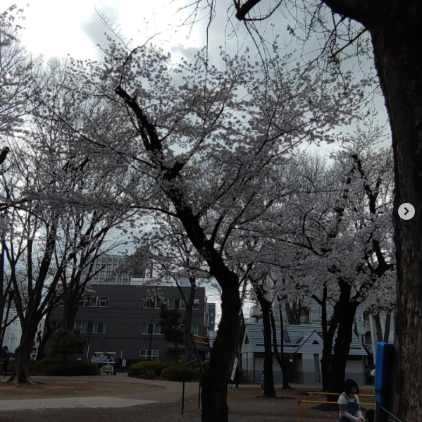 Lounge Bar Cina ホットニュース 23596