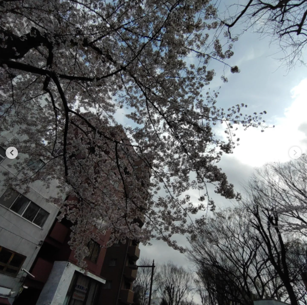 Lounge Bar Cina ホットニュース 23596