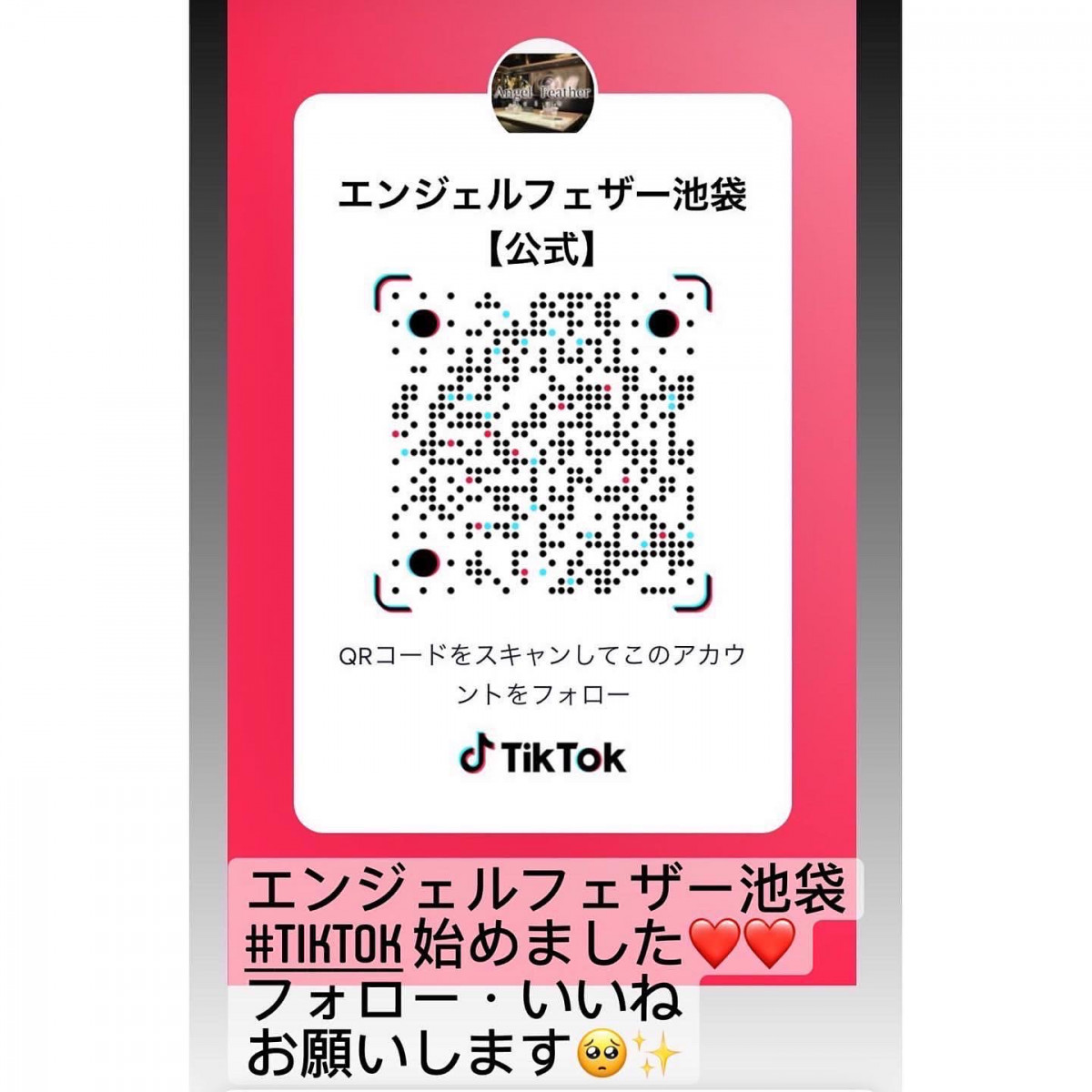 Angel Feather ホットニュース 24001