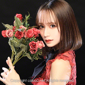 Orange Terrace ホットニュース 24172