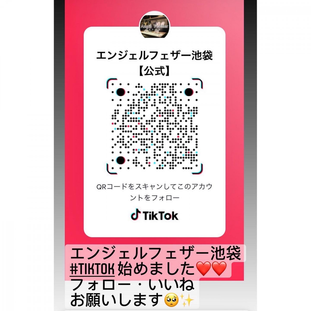 Angel Feather ホットニュース 24634