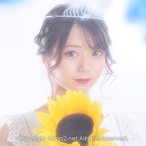 Premier ホットニュース 24636