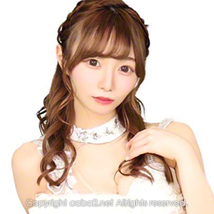 Orange Terrace ホットニュース 24666