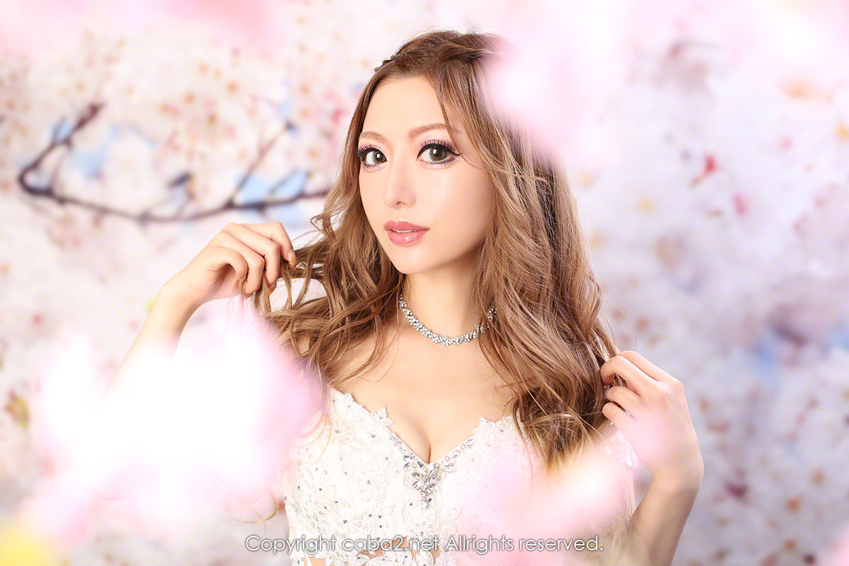 AMATERAS ホットニュース 25116