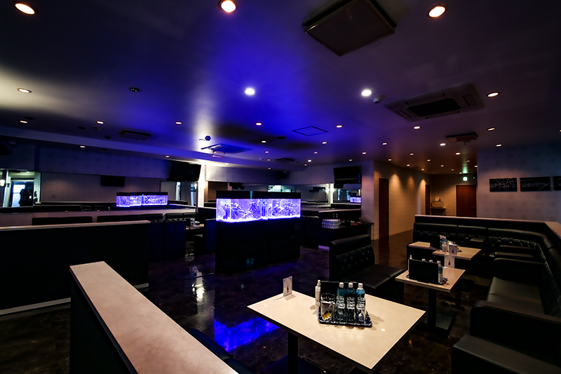 club Salvatore ホットニュース 25395