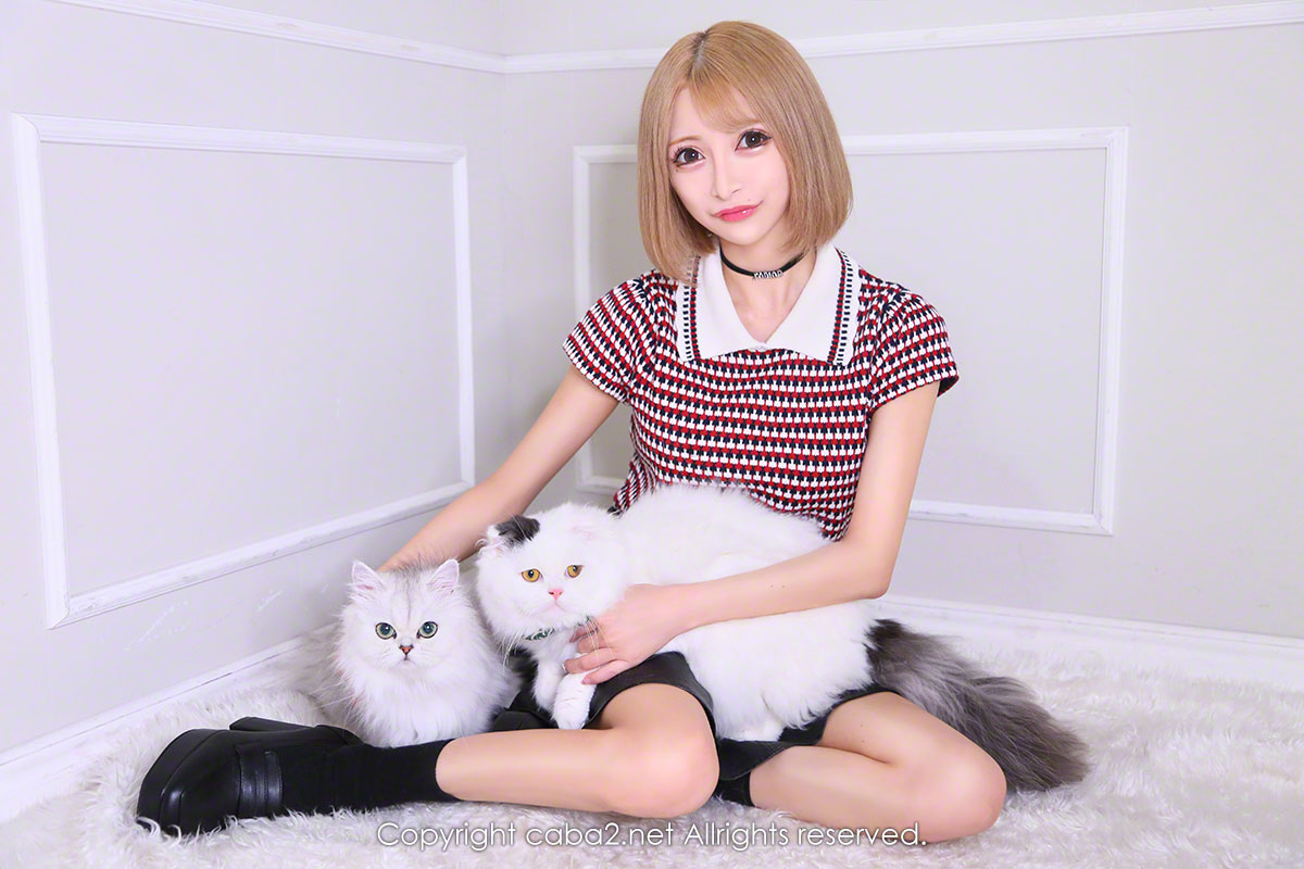 Orange Terrace ホットニュース 25485