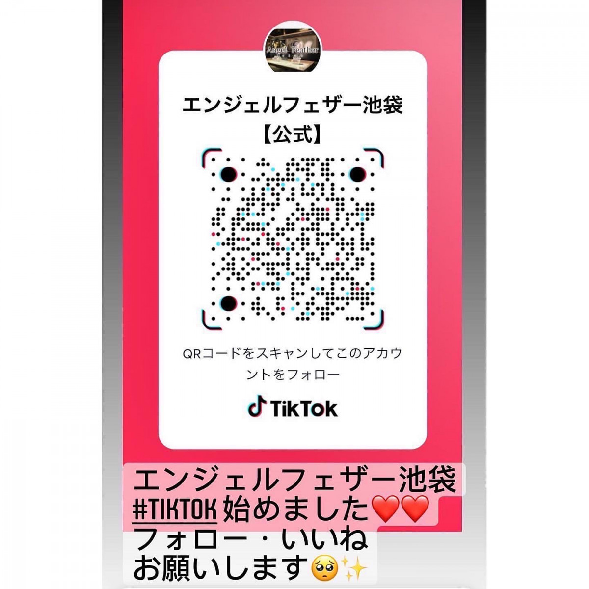 Angel Feather ホットニュース 26100