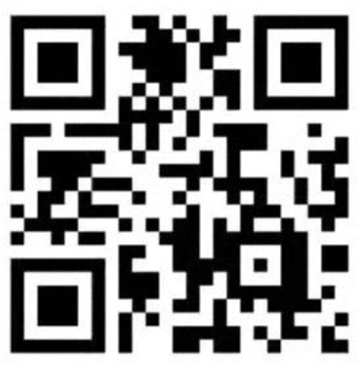 沖縄 SEASIDE ホットニュース 26310