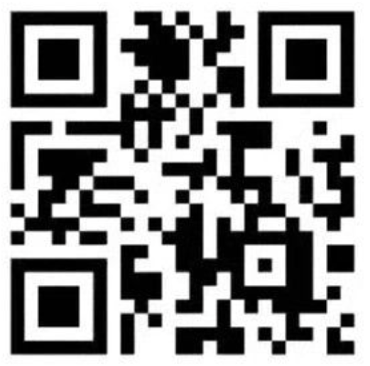 沖縄 SEASIDE ホットニュース 26337