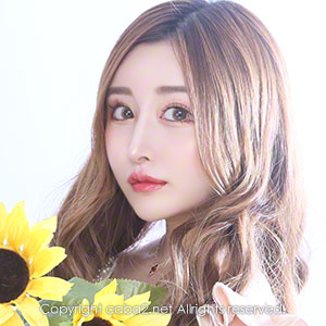 美人茶屋 ホットニュース 26411