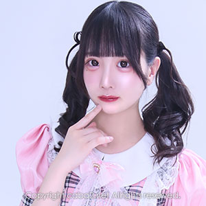 PRIMO ホットニュース 26847