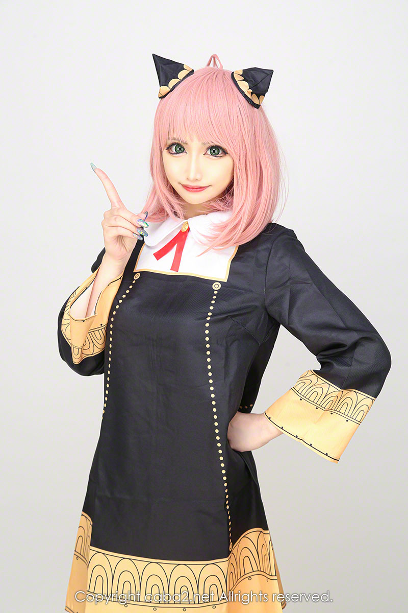 Orange Terrace ホットニュース 27551