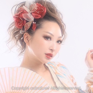 Premier ホットニュース 28349