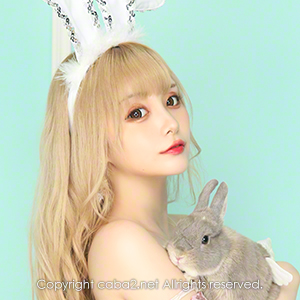 華灯 ホットニュース 34476