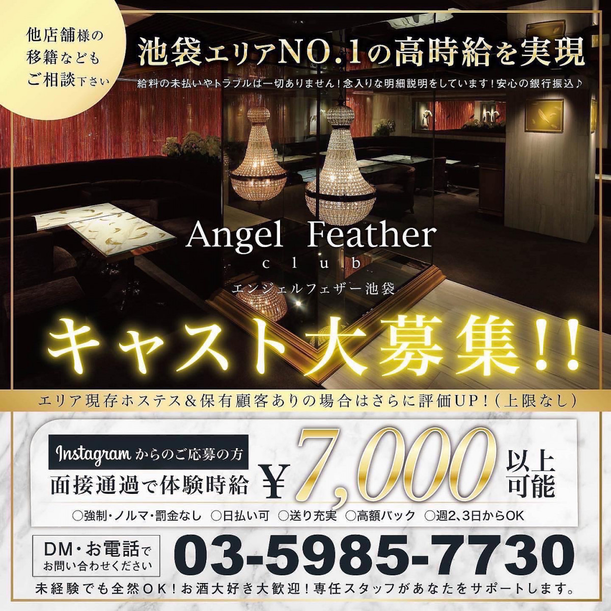 Angel Feather ホットニュース 35866