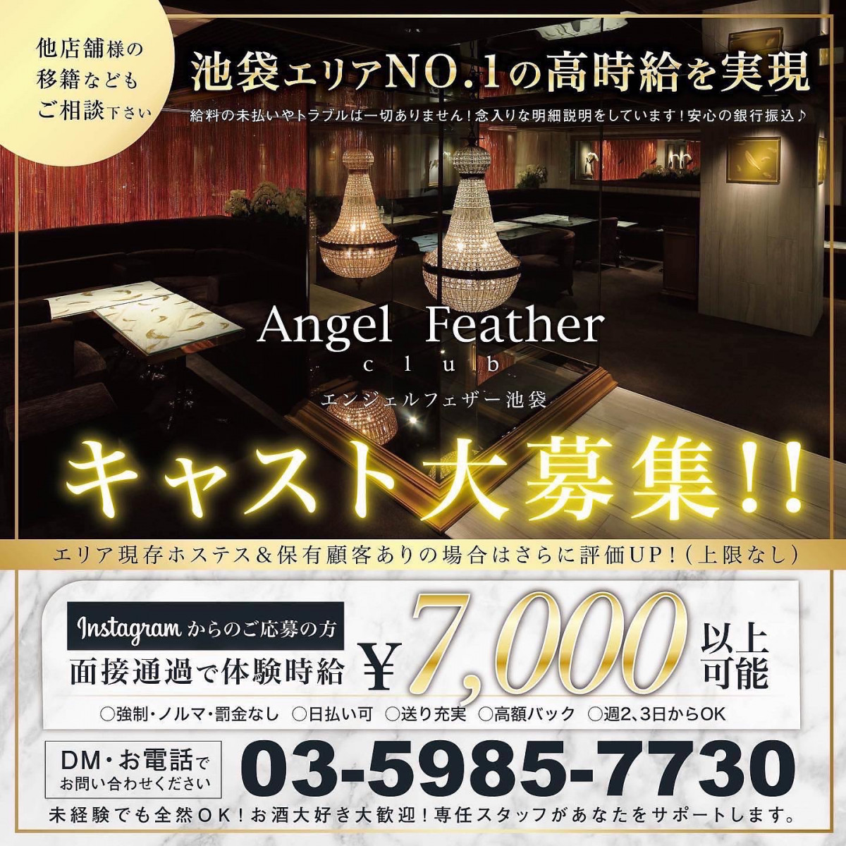 Angel Feather ホットニュース 37044