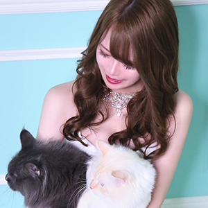 華灯 ホットニュース 37517