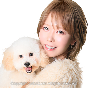 Orange Terrace ホットニュース 38884