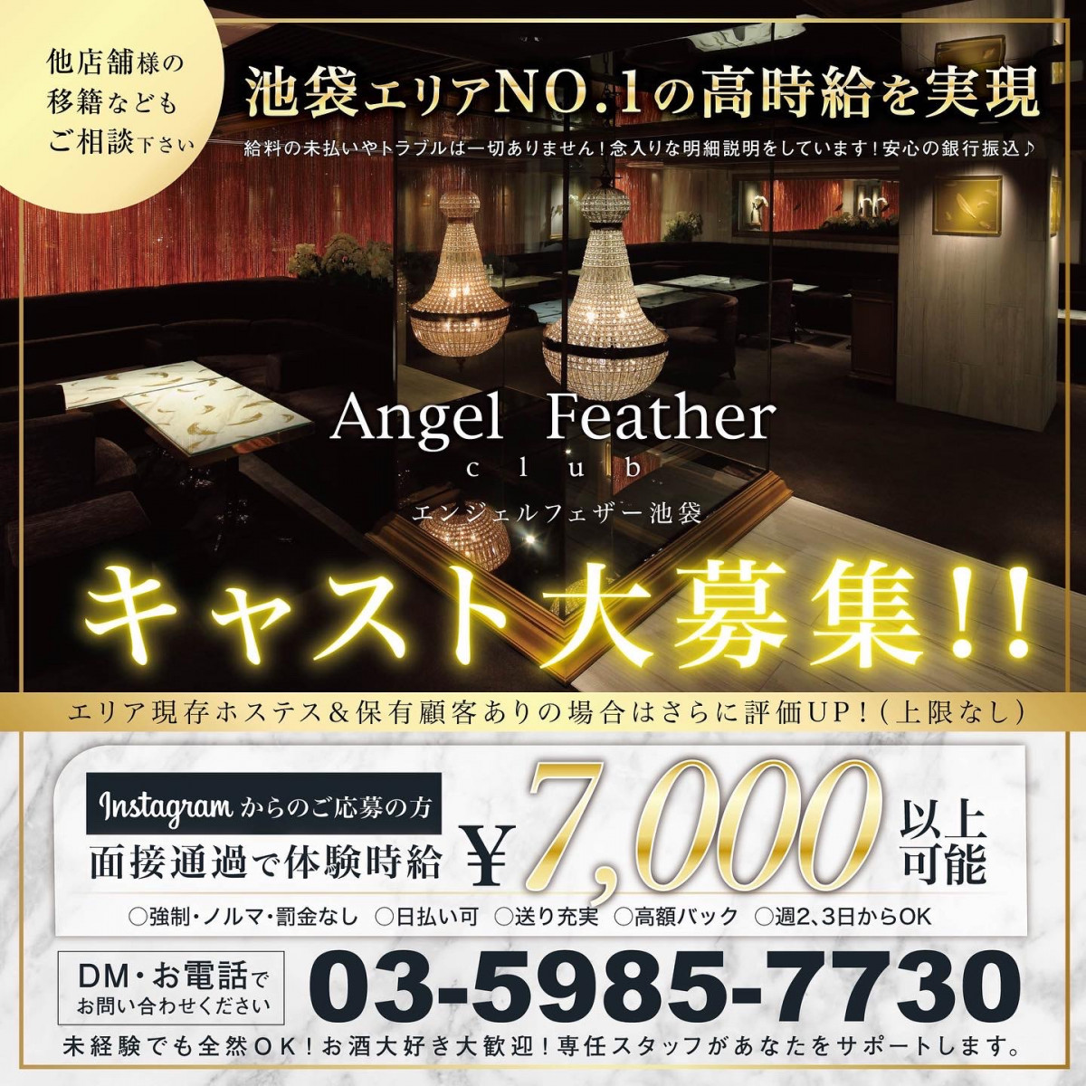Angel Feather ホットニュース 40733