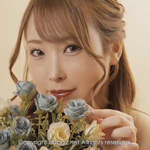 Brun Verre ホットニュース 49999