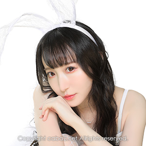 Carnet ホットニュース 62594