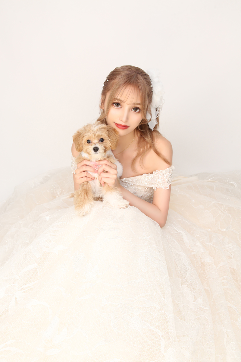 Orange Terrace ホットニュース 67111