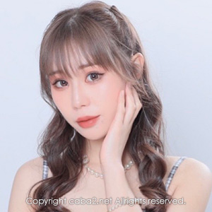 Orange Terrace ホットニュース 71334