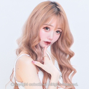 Premier ホットニュース 94005