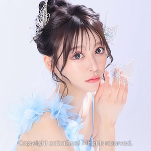 Orange Terrace ホットニュース 179278