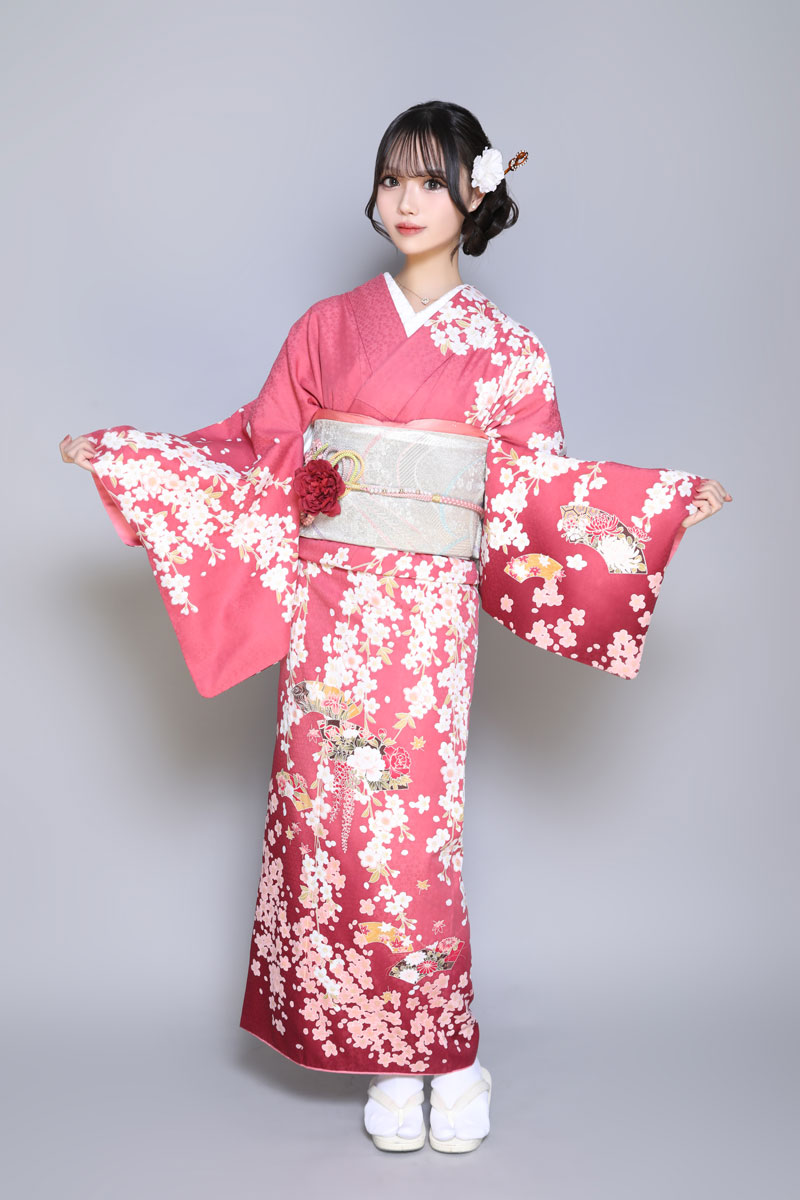 美人茶屋 ホットニュース 209928