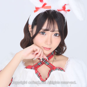 LIZ LOUNGE ホットニュース 211290