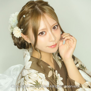 VELS ホットニュース 247544