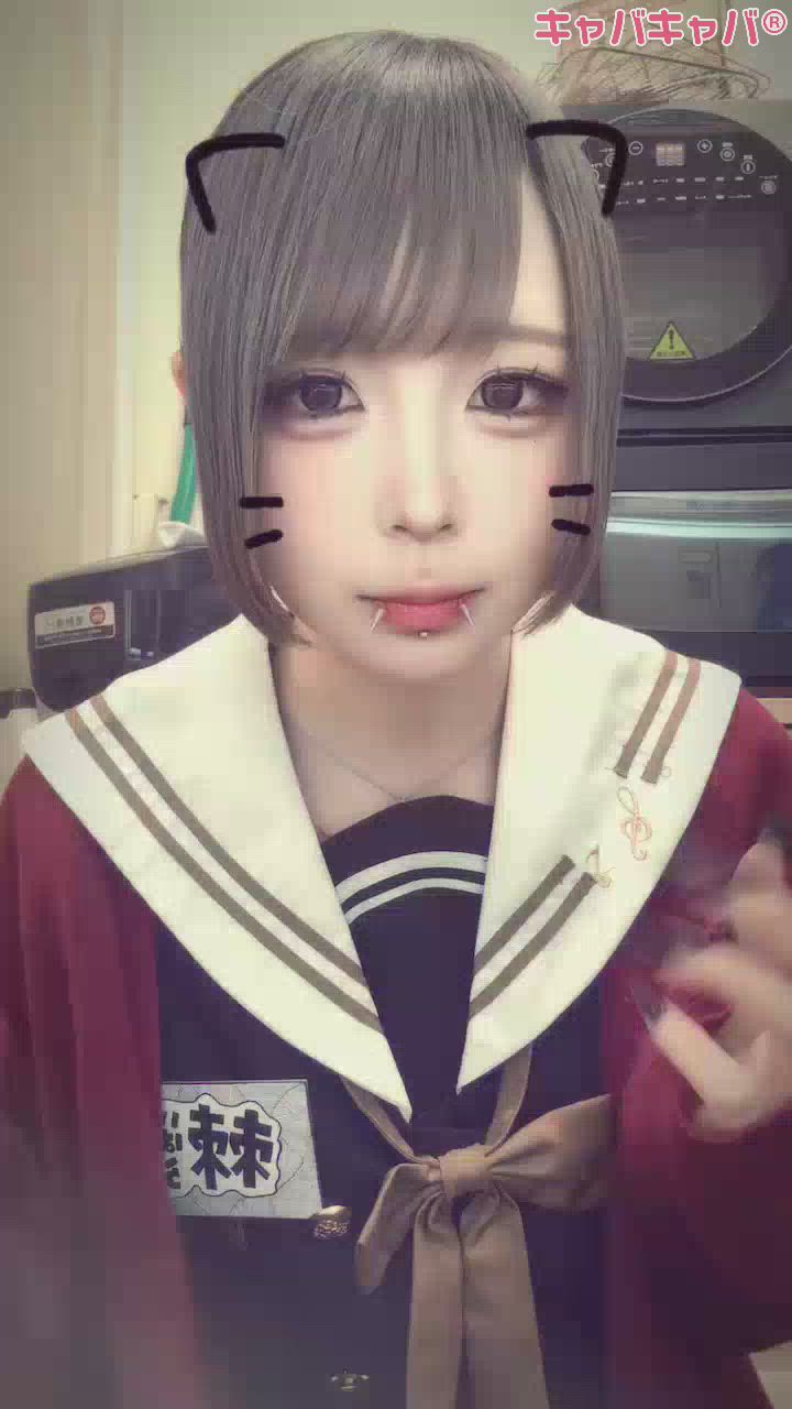 一条 葵