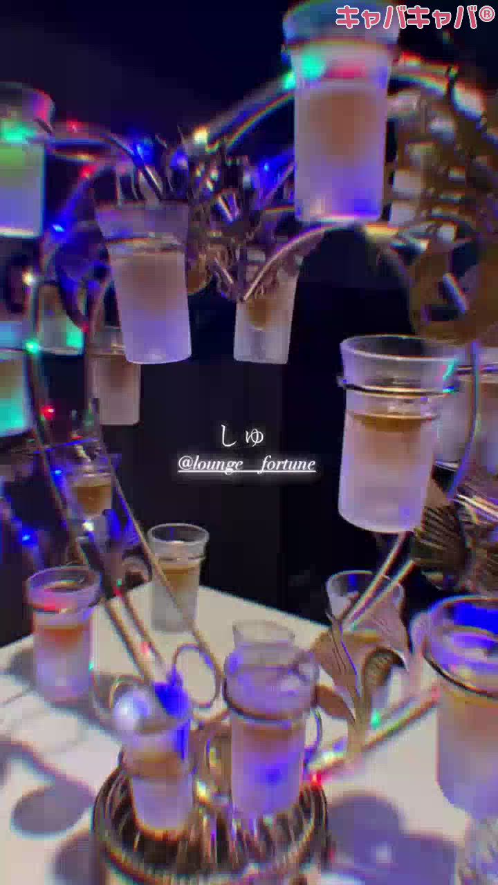 一条 葵
