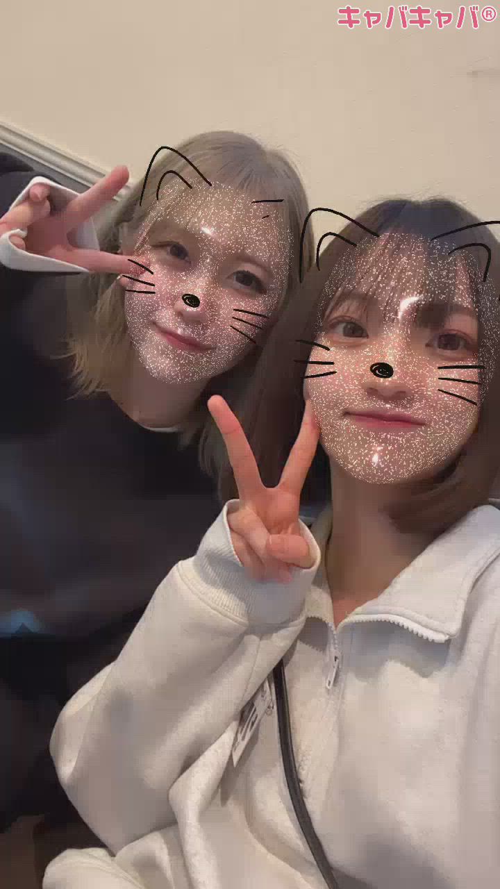 長岡に出陣じゃー！🐔