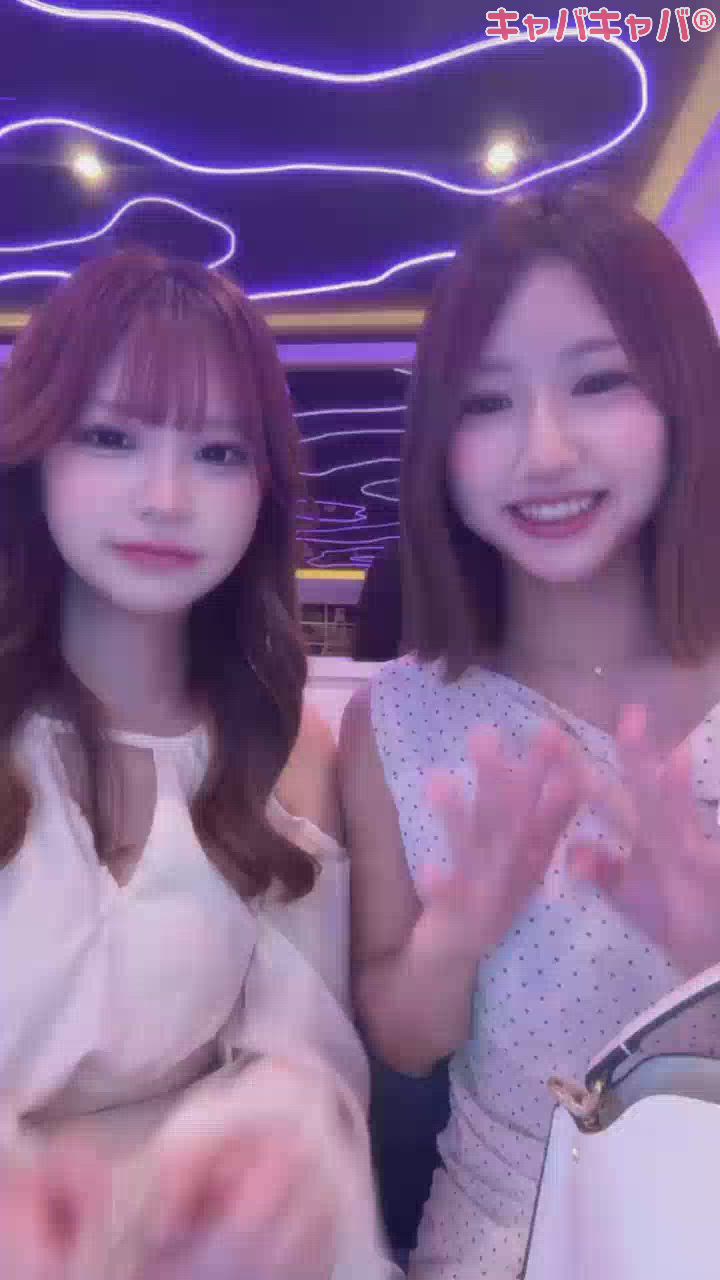 一条 葵