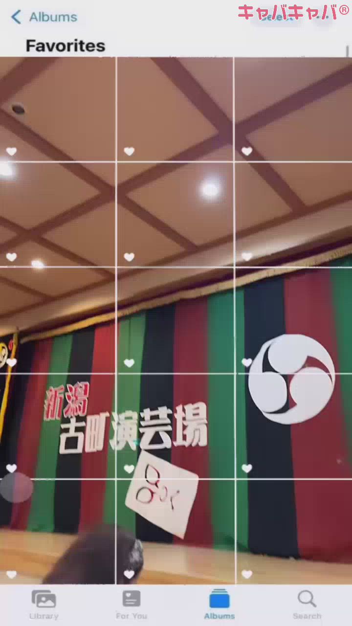 Persephone日記1328390