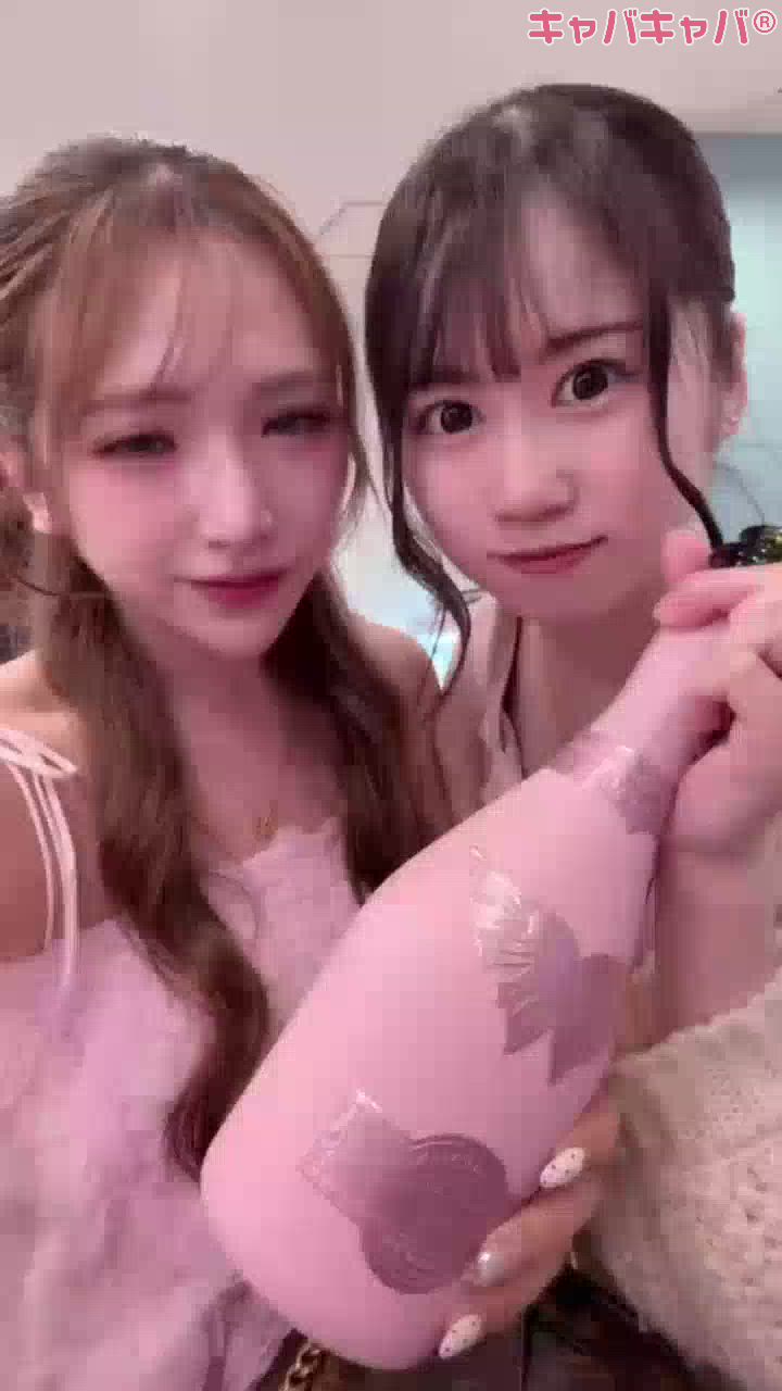 一条 葵