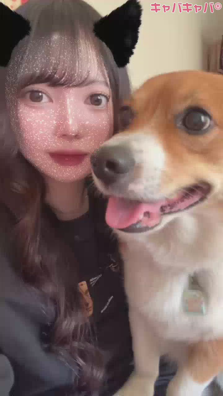 おもひでぽろぽろ