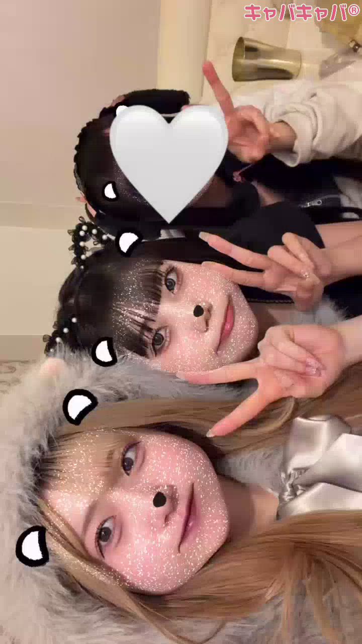 コンセプトカフェ あにまる宮殿日記1603227