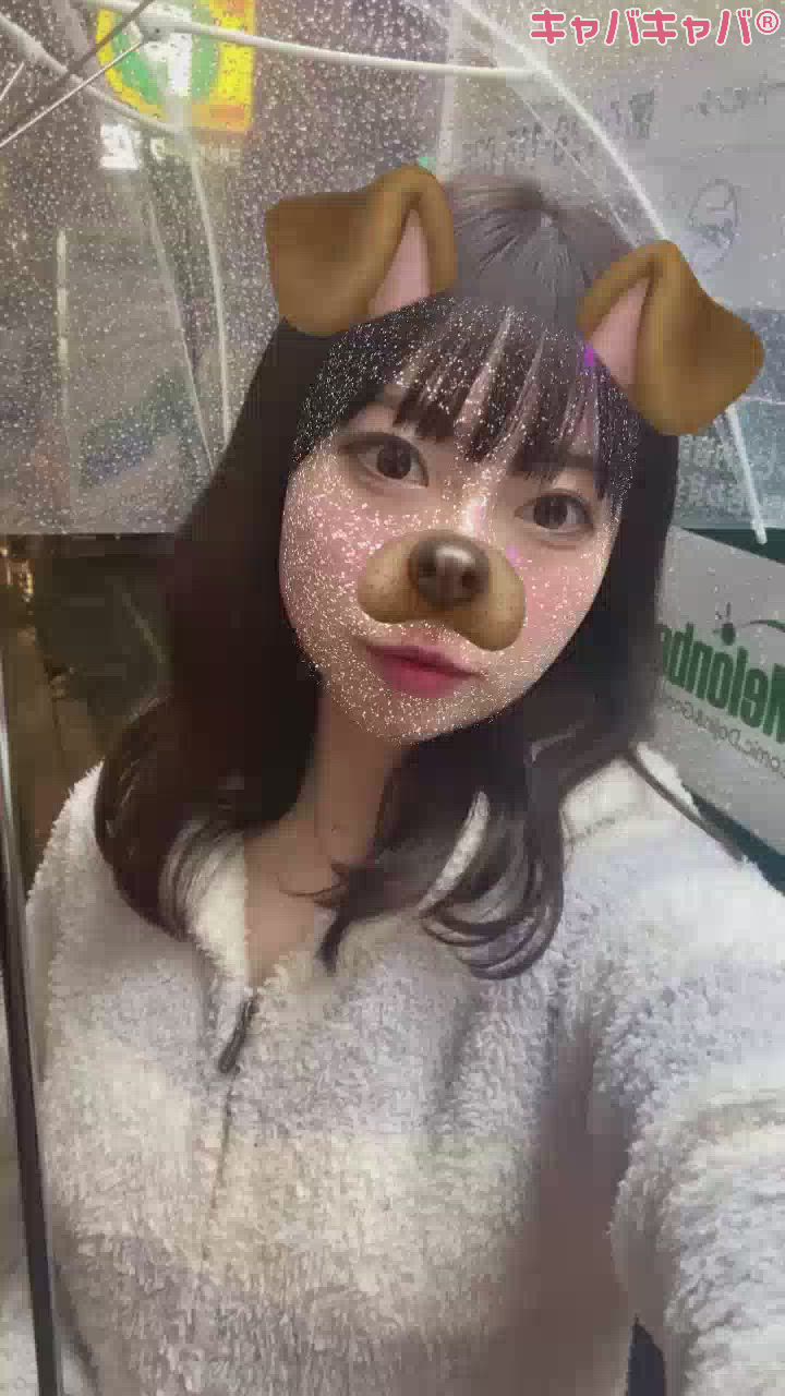 お久しぶりですっ