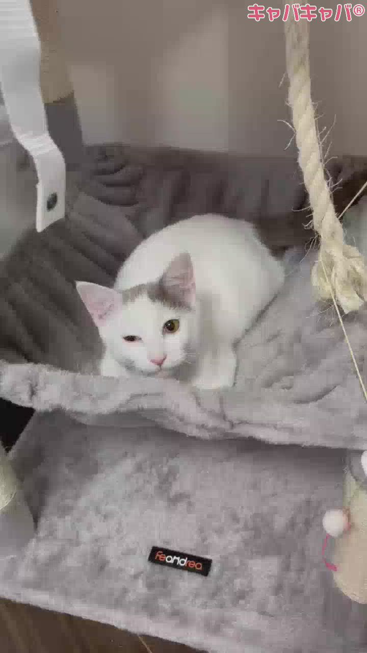 たふけて(´ཀ`」 ∠):