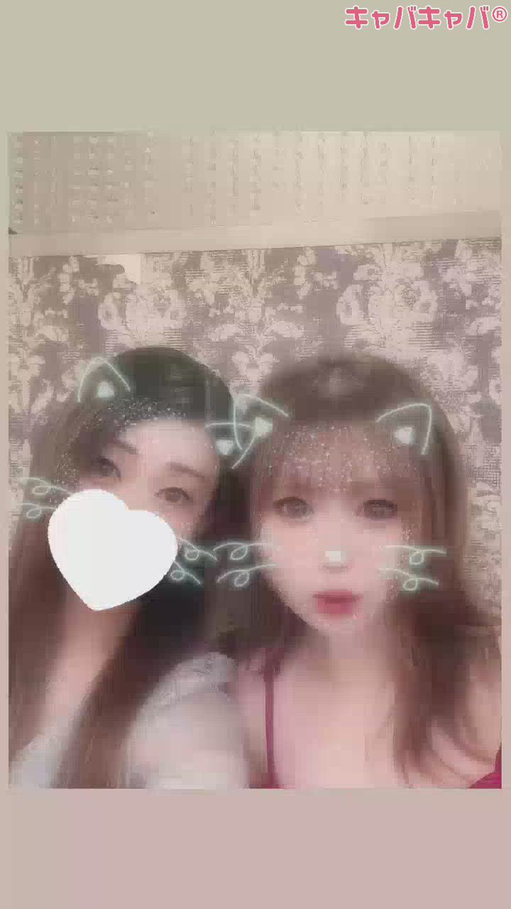 一条 葵