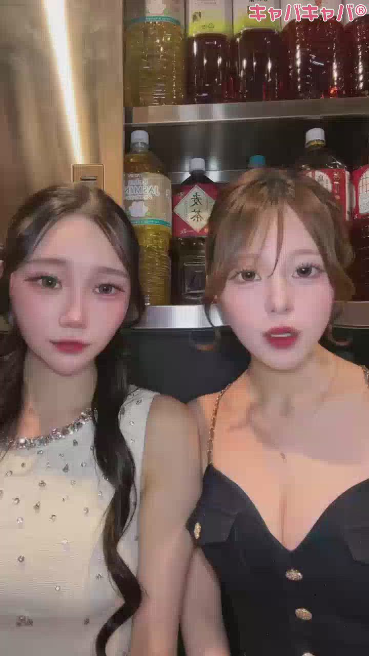 一条 葵