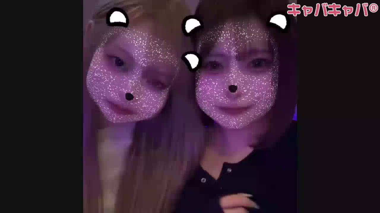 コンセプトカフェ あにまる宮殿日記1502608
