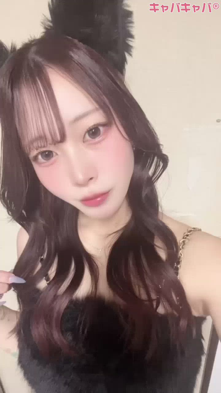 一条 葵